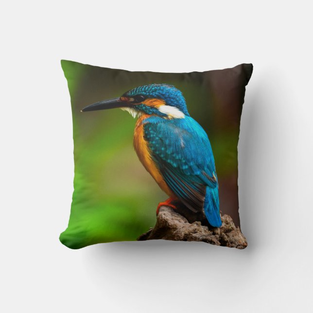 Kingfisher fågelkudde kudde (Framsida)