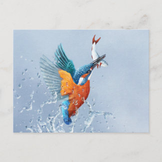 Kingfisher flyger ut från vatten vykort