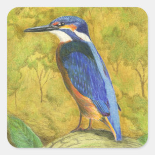 Kingfisher Fyrkantigt Klistermärke