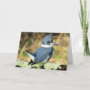 Kingfisher Greeting Card Kort