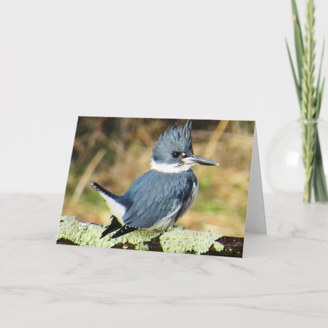 Kingfisher Greeting Card Kort (Framsida)