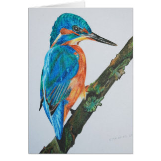 Kingfisher Hälsningskort