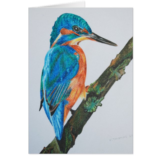 Kingfisher Hälsningskort (Framsidan)