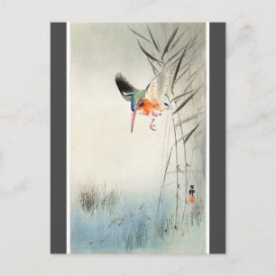 Kingfisher Hunting - Ohara Koson - träkol Vykort