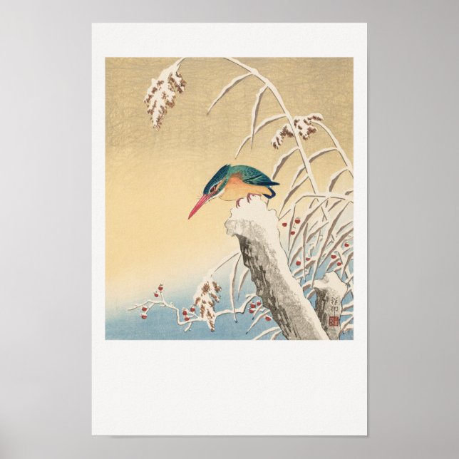 Kingfisher i snö poster (Framsidan)