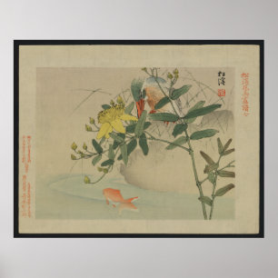 Kingfisher - japansk utskrift poster