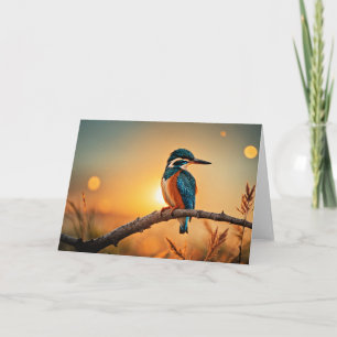 Kingfisher Kort