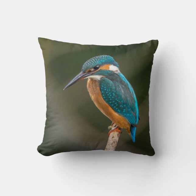 Kingfisher Kudde (Framsida)