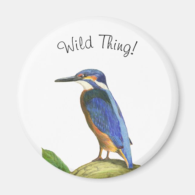 Kingfisher Magnet (Framsidan)