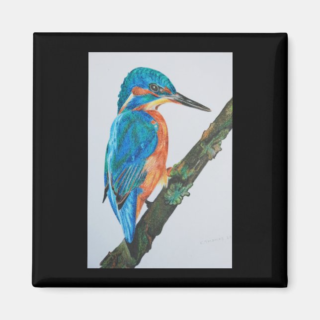 Kingfisher Magnet (Framsidan)