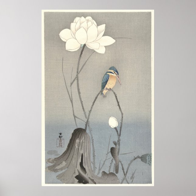 Kingfisher med Lotus Flower - Archival Print Poster (Framsidan)