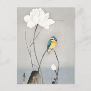 Kingfisher med Lotus Flower av Ohara Koson Vykort