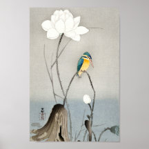 Kingfisher med Lotus Flower - Ohara Koson - 12