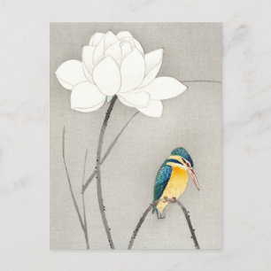 Kingfisher med Lotus Flower Ohara Koson (utvidgad) Vykort
