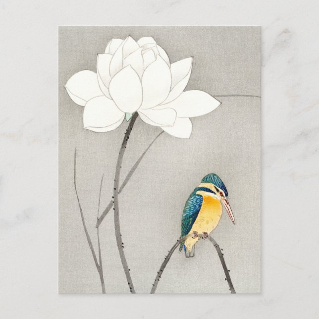 Kingfisher med Lotus Flower Ohara Koson (utvidgad) Vykort (Framsida)