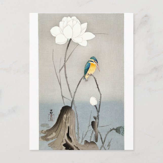 Kingfisher med Lotus Flower - Ohara Koson - white Vykort (Framsida)