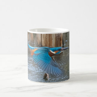 Kingfisher Mugg