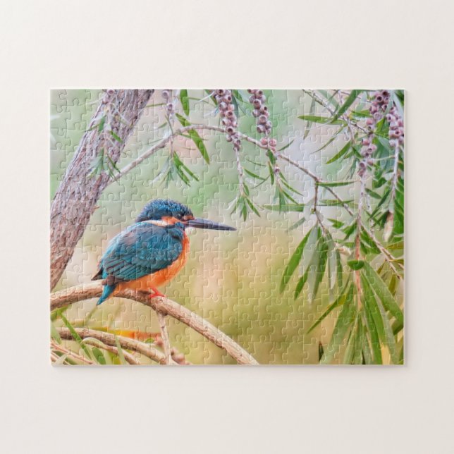 Kingfisher Natural Bird Wildlife Animal Träd Pussel (Horisontell)