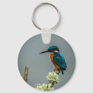 Kingfisher-nyckelkedja/Nyckelring Nyckelring