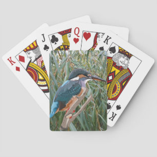 Kingfisher och Willow Casinokort