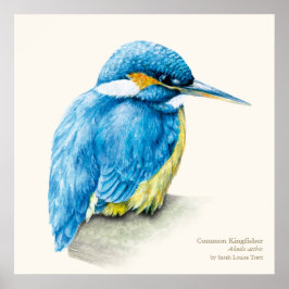 Kingfisher Ornithological bra art poster tryck