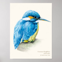 Kingfisher Ornithology porträtt bra Art print Poster