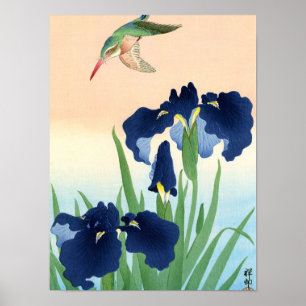 Kingfisher ovanför Irises, 1926 av Ohara Koson Poster