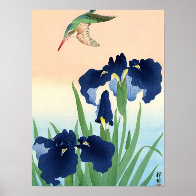 Kingfisher ovanför Irises, 1926 av Ohara Koson Poster (Framsidan)