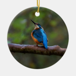 Kingfisher på gren julgransprydnad keramik