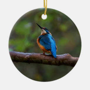 Kingfisher på gren julgransprydnad keramik