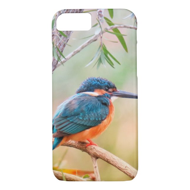 Kingfisher Perched på gren Case-Mate iPhone Skal (Baksida)