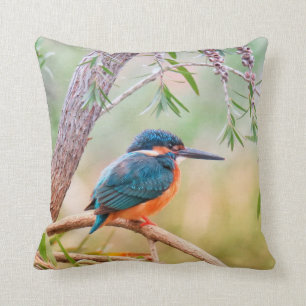 Kingfisher Perched på gren Kudde
