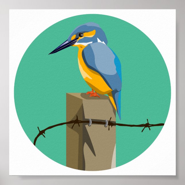 Kingfisher Poster (Framsidan)