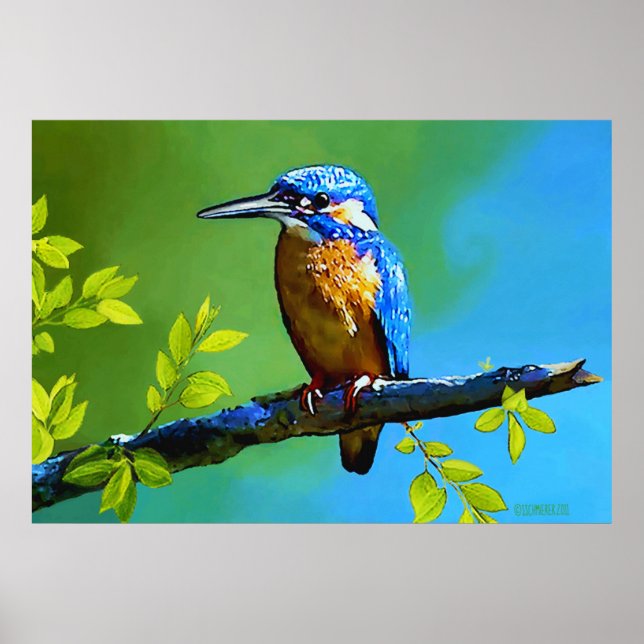 Kingfisher Poster (Framsidan)