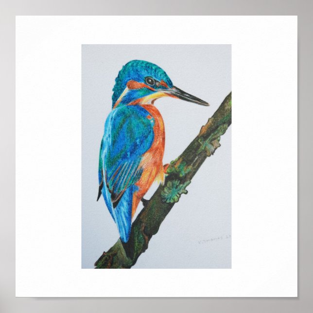 Kingfisher Print - välj din pappra och ram! Poster (Framsidan)