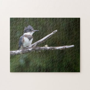 kingfisher pussel