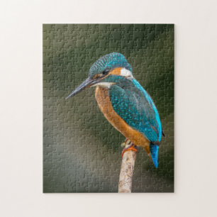 KIngfisher Pussel