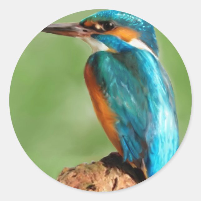 Kingfisher Runt Klistermärke (Framsida)