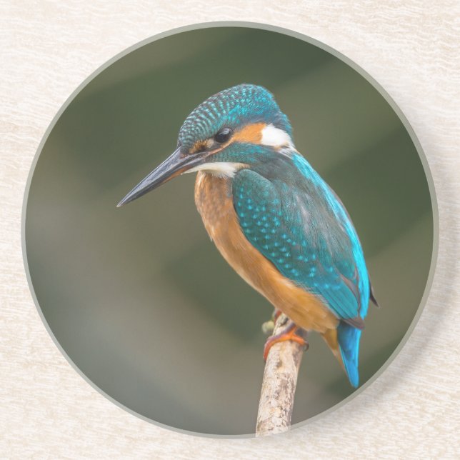 KIngfisher Underlägg (Framsidan)