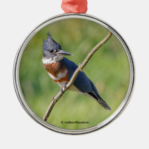Kingfisher ut på en lub julgransprydnad metall