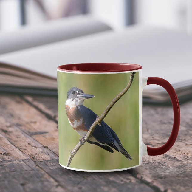 Kingfisher ut på en lub mugg (Femaled Belted Kingfisher on a Branch 11 oz Coffee Mug Cover Photo.)