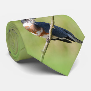 Kingfisher ut på en lub slips