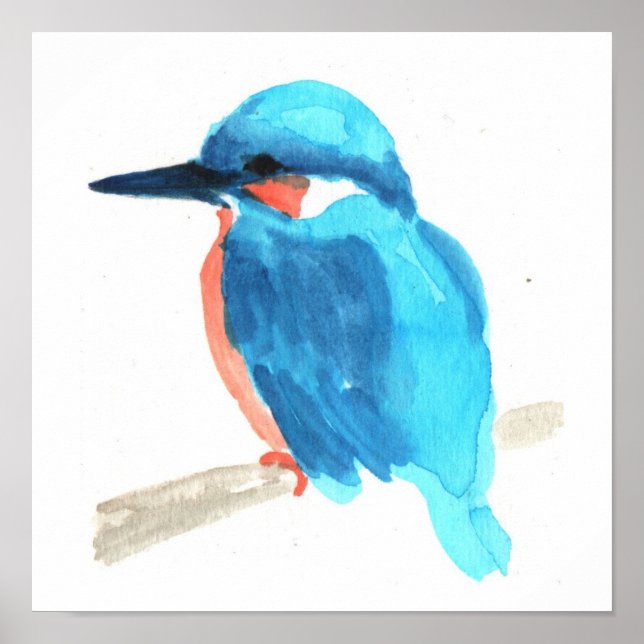 Kingfisher, vattenfärgsmålningsruta poster (Framsidan)