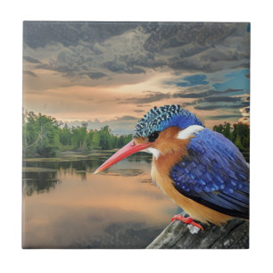 Kingfisher vid Sunset Kakelplatta