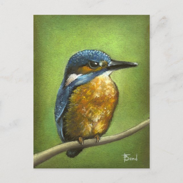 Kingfisher Vykort (Framsida)