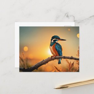Kingfisher Vykort