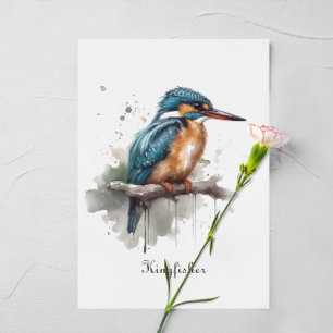 Kingfisher Vykort
