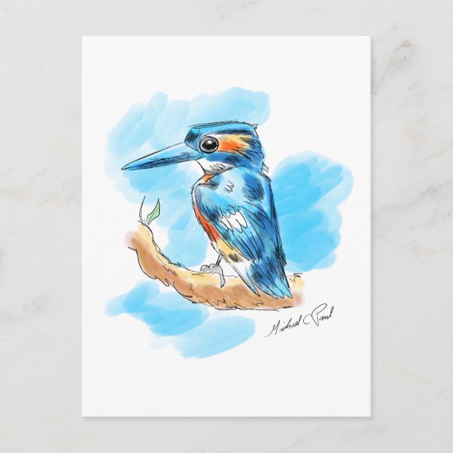 Kingfisher Vykort (Framsida)