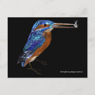 KINGFISHER VYKORT
