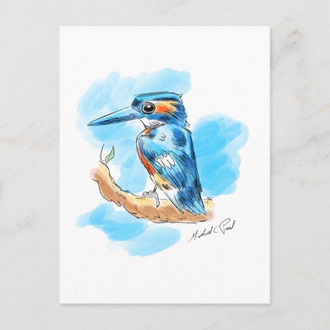 Kingfisher Vykort (Framsida)